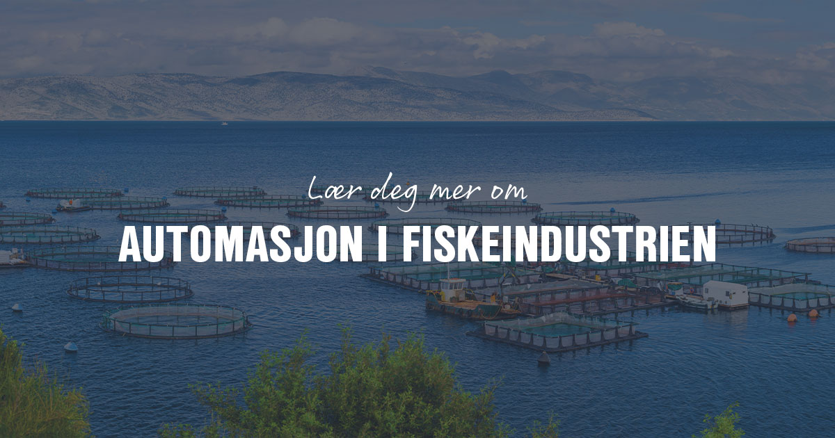 Automasjon i fiskeindustrien