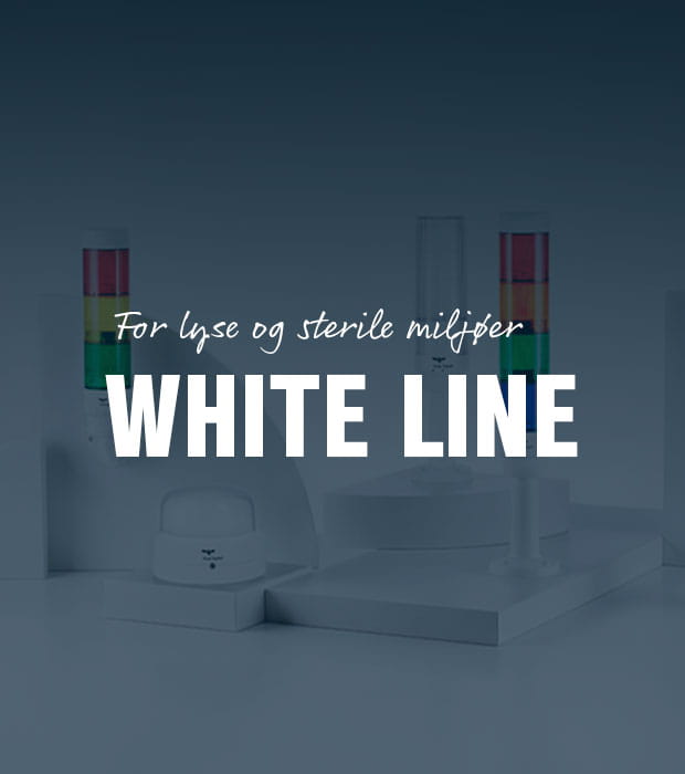 White line Auer